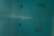 Paisatge dins la mar | ruido ê i conversa amb Marina Monsonís