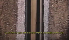 Diaris salvatges de l'extracció | Dimarts de vídeo al Santa Mònica