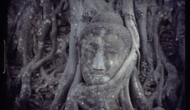 Una habitación en Bangkok, de Javier Olivera